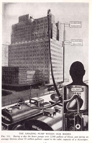 Illustration for article titled Fritz Kahn's Cybernetic Body Art Is Like Terminator Circa 1920